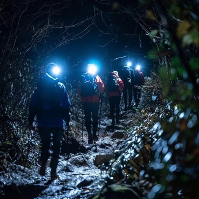 A group of hikers navigates a rocky trail at night, illuminated by headlamps.