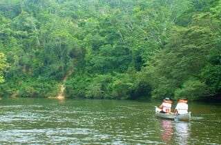 <span style="color: #008000"><a style="color: #008000" href="https://www.mayamountainlodge.com/index.php/canoe-tour/">Local Culture</a></span>