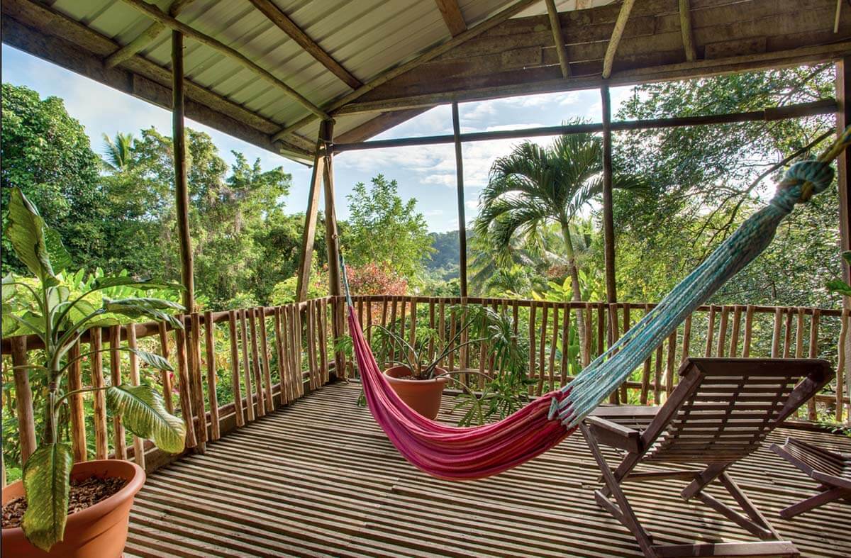 A cozy deck featuring a hammock and a lounge chair surrounded by lush greenery.