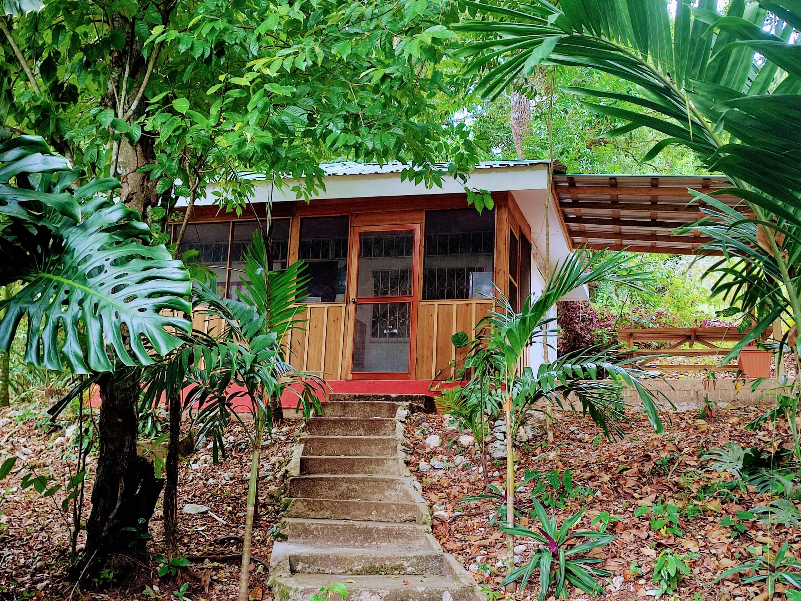 A view of a small tropical cottage with wooden paneling and a screened porch, partially hidden by lush green jungle foliage and a large monstera leaf in the foreground.