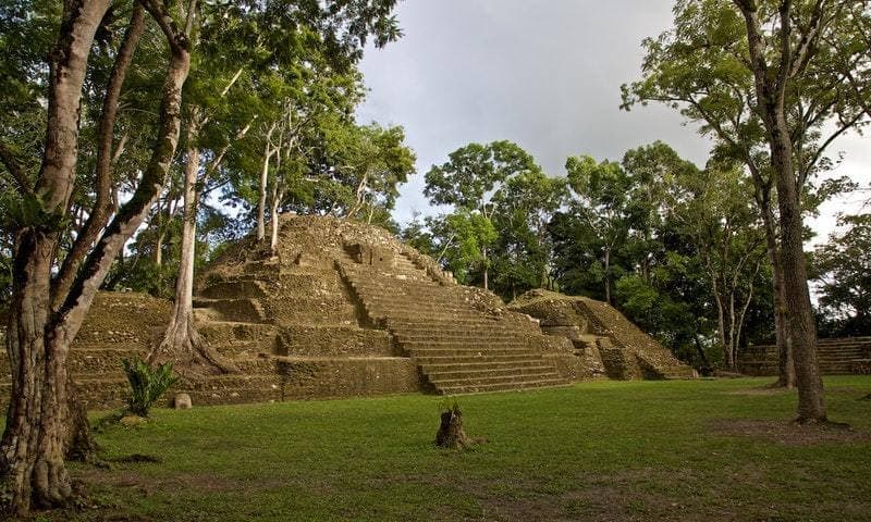 Ancient stepped pyramid surrounded by lush greenery.