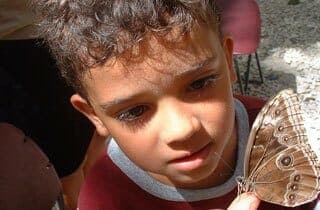A young boy curiously observes a butterfly perched on his hand.