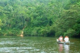 Two people canoeing on a calm river surrounded by lush greenery.