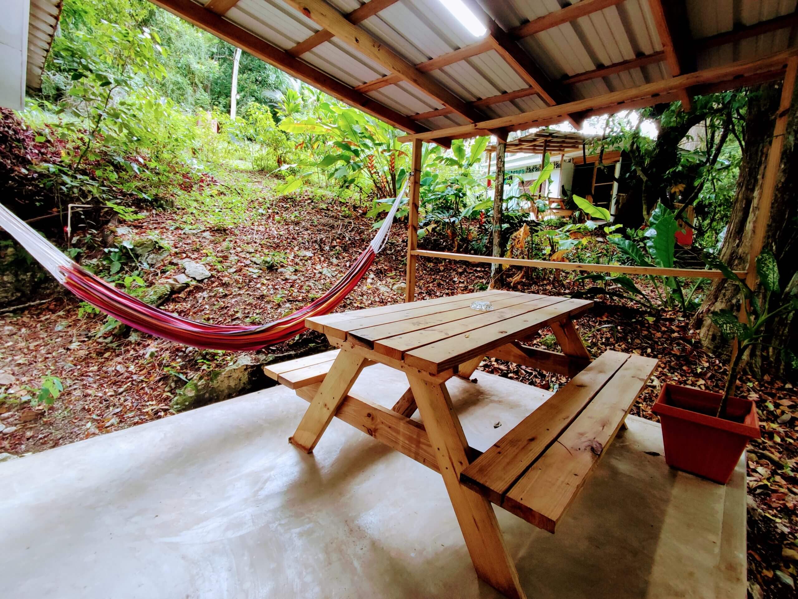 A wooden picnic table and a red-and-white striped hammock sit on a concrete patio under a corrugated metal roof, overlooking a lush, sloped garden area with dense tropical foliage.