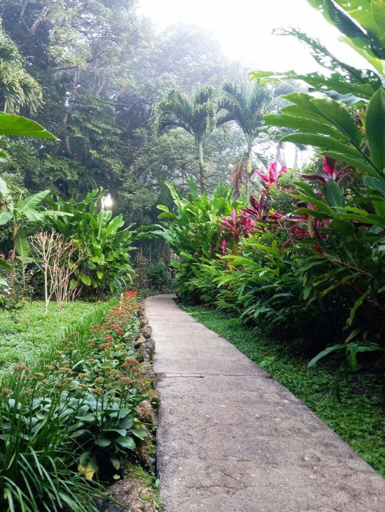 A winding path through lush greenery and vibrant flowers in a misty garden.