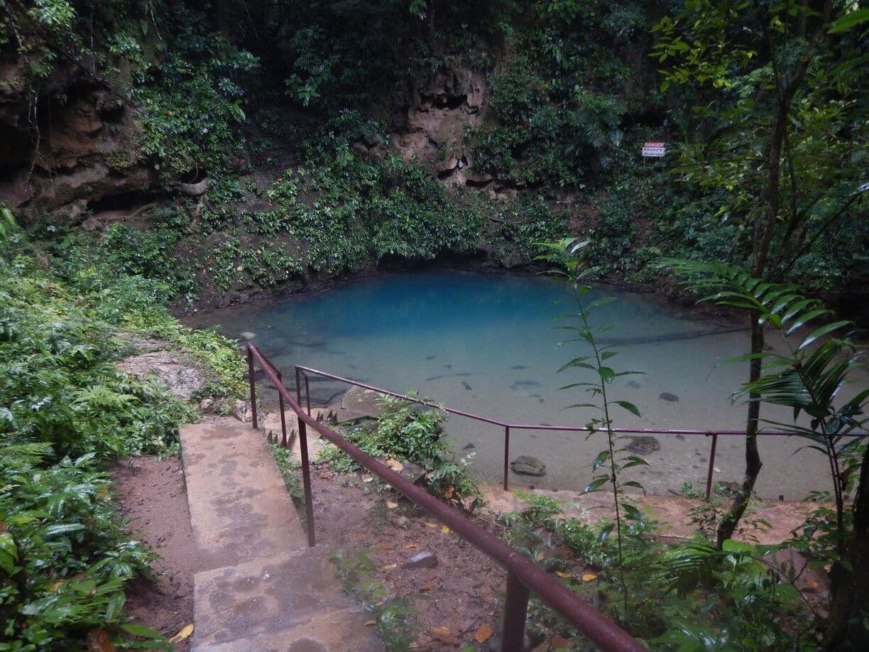 A serene, blue pool surrounded by lush greenery and a stone pathway.
